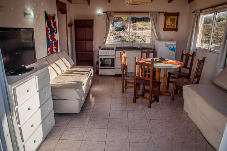 Playa 2 ambientes: living comedor con TV y sillones