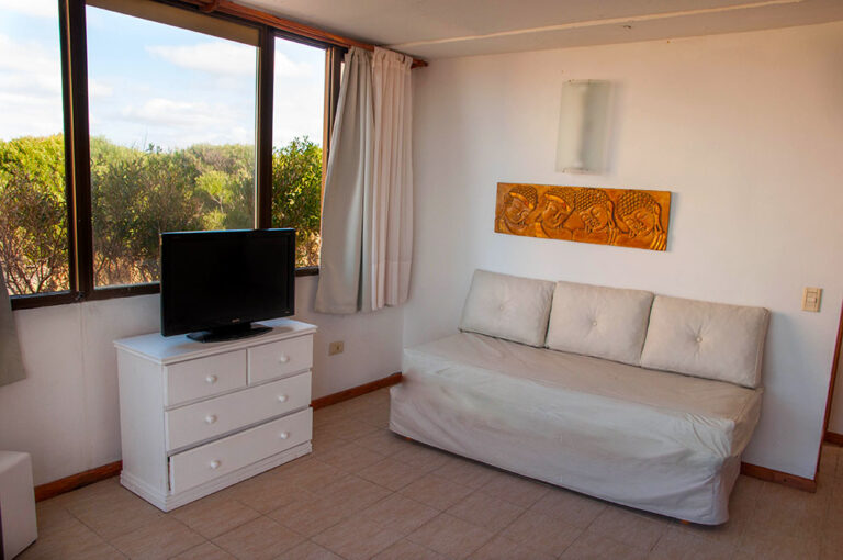 Sol A y B: estar con sillón y vista al bosque
